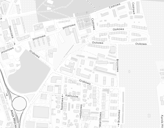 Mapa z adresem organizacji