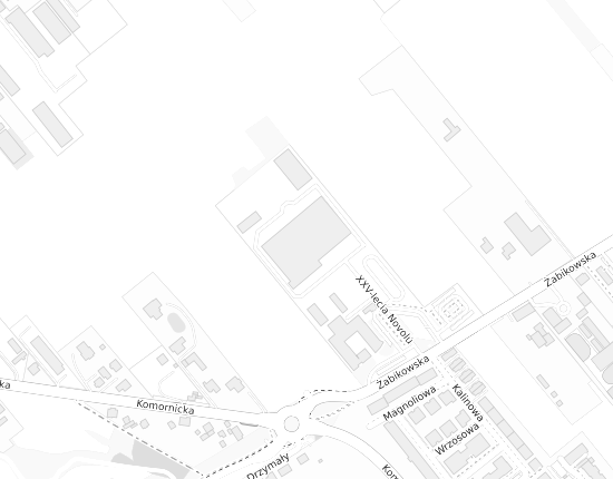 Mapa z adresem organizacji