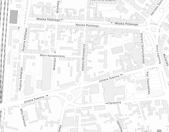 Mapa z adresem organizacji
