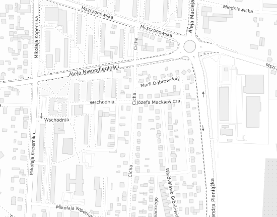 Mapa z adresem organizacji