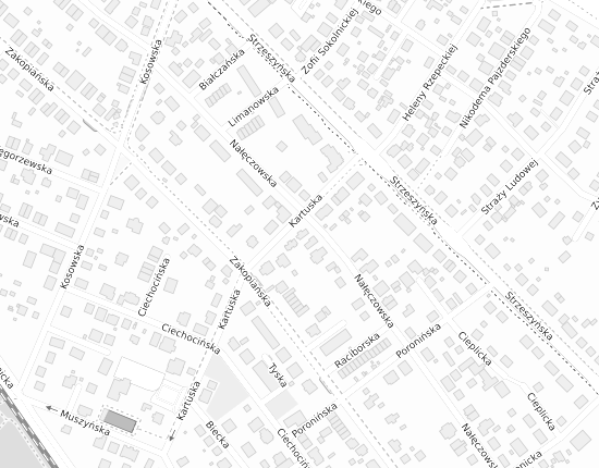 Mapa z adresem organizacji