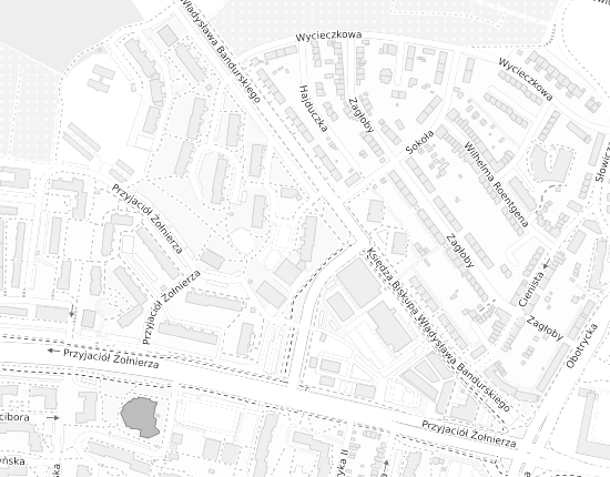 Mapa z adresem organizacji