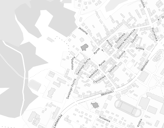 Mapa z adresem organizacji