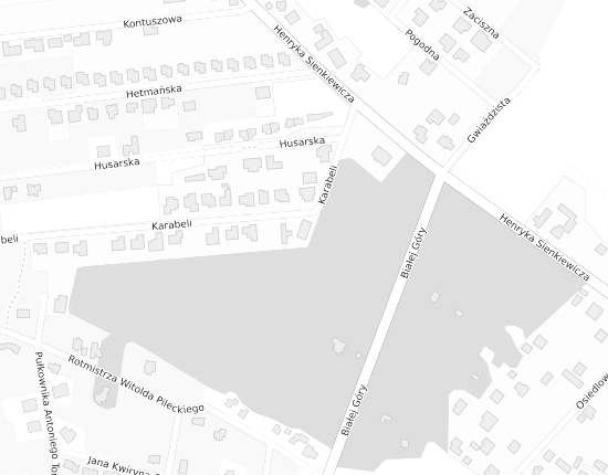 Mapa z adresem organizacji
