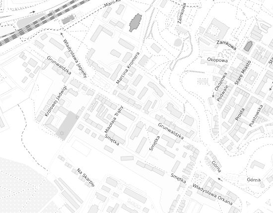 Mapa z adresem organizacji