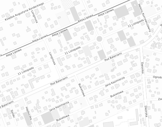 Mapa z adresem organizacji