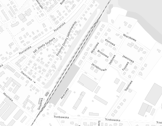 Mapa z adresem organizacji