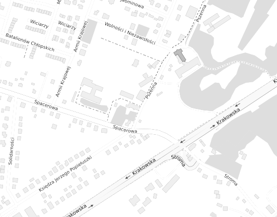 Mapa z adresem organizacji
