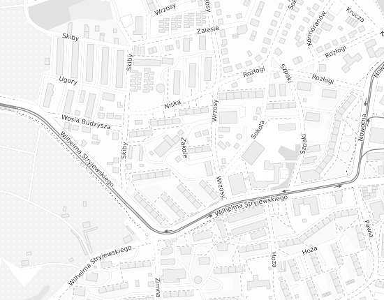 Mapa z adresem organizacji