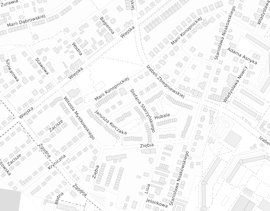 Mapa z adresem organizacji