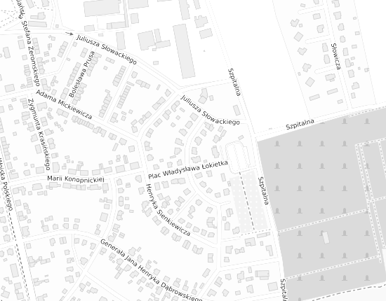 Mapa z adresem organizacji