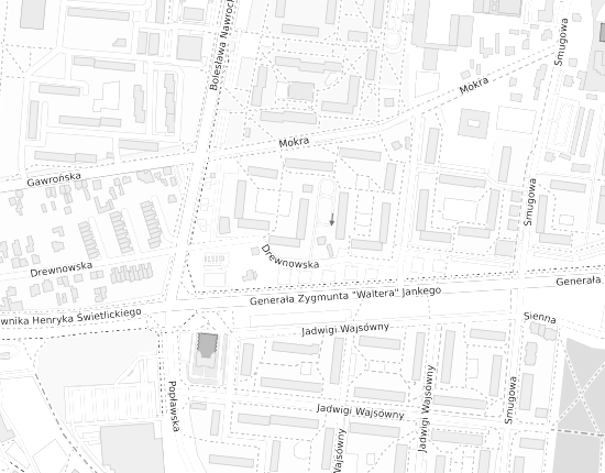 Mapa z adresem organizacji