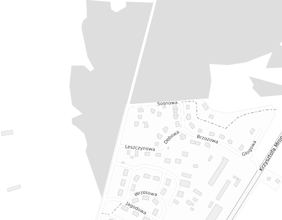 Mapa z adresem organizacji