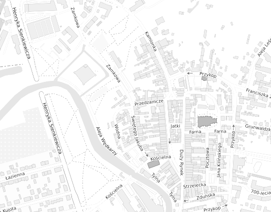 Mapa z adresem organizacji