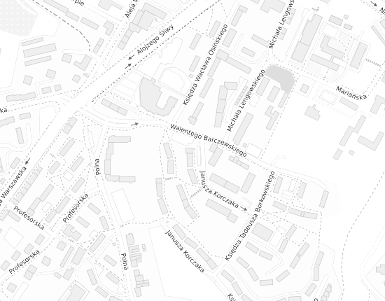 Mapa z adresem organizacji