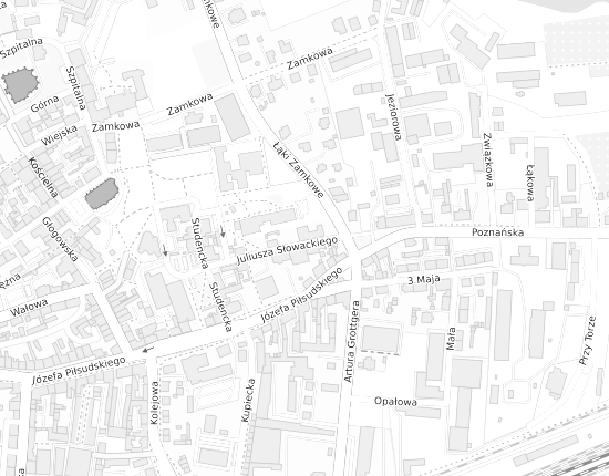 Mapa z adresem organizacji