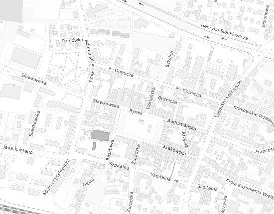 Mapa z adresem organizacji