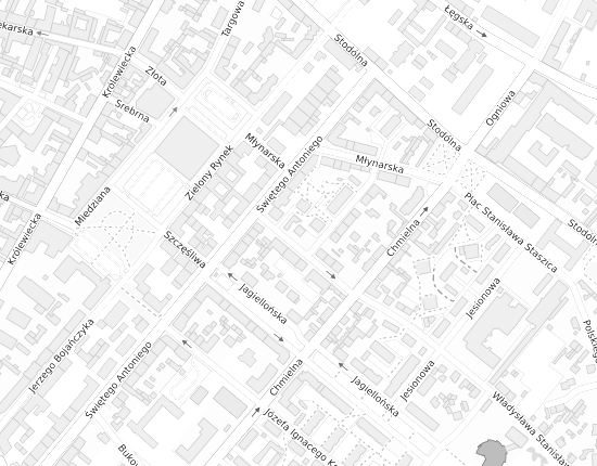 Mapa z adresem organizacji