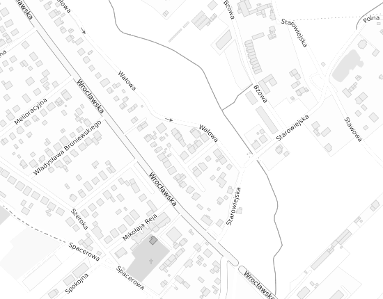 Mapa z adresem organizacji