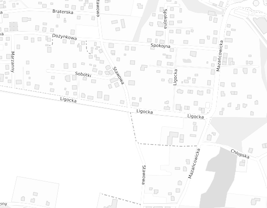 Mapa z adresem organizacji