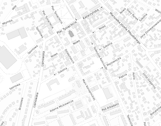 Mapa z adresem organizacji