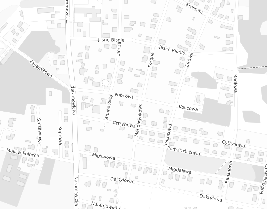 Mapa z adresem organizacji