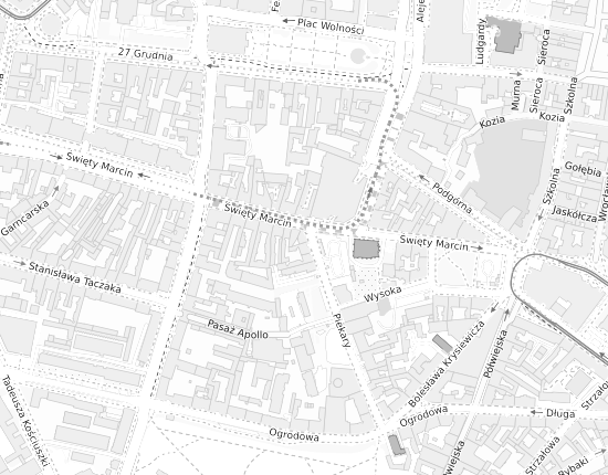 Mapa z adresem organizacji