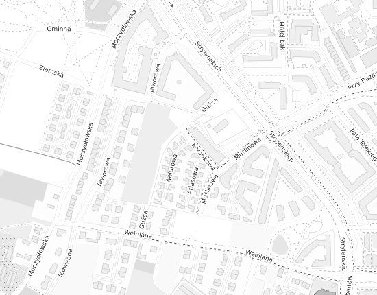 Mapa z adresem organizacji
