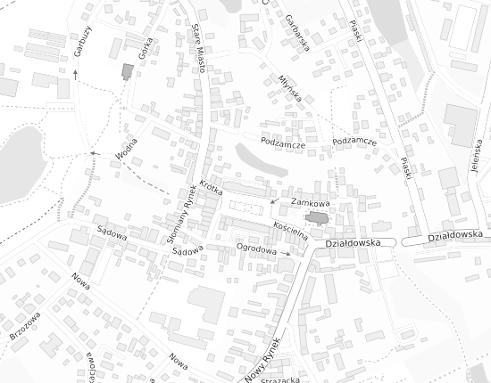 Mapa z adresem organizacji