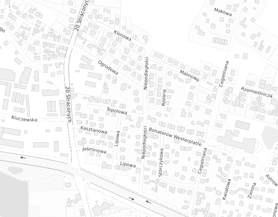 Mapa z adresem organizacji