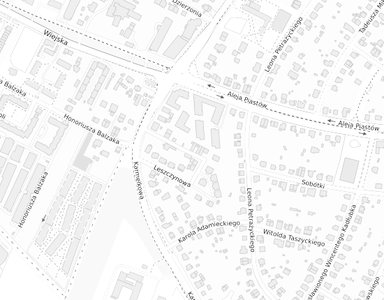 Mapa z adresem organizacji