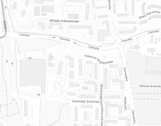 Mapa z adresem organizacji