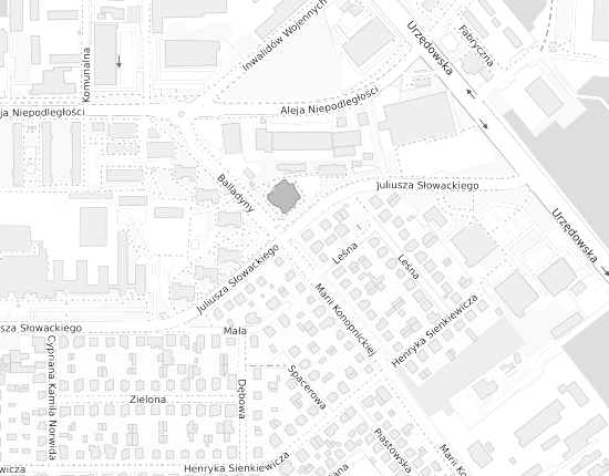 Mapa z adresem organizacji