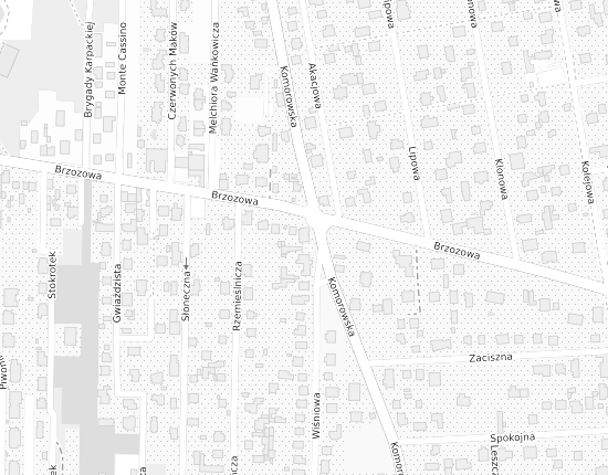 Mapa z adresem organizacji