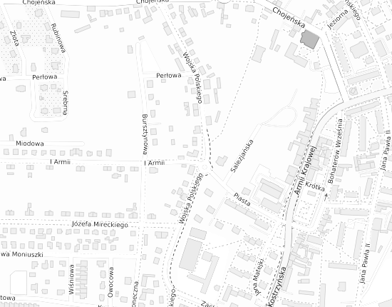 Mapa z adresem organizacji