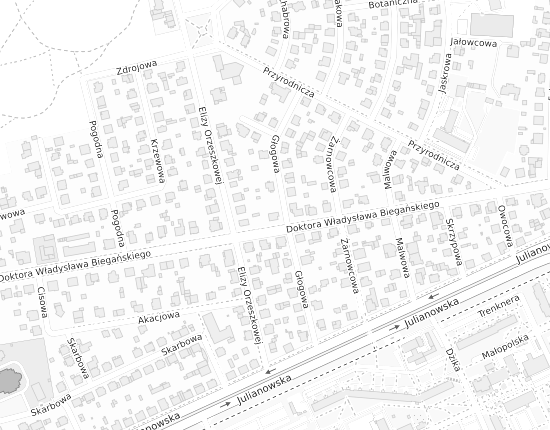 Mapa z adresem organizacji