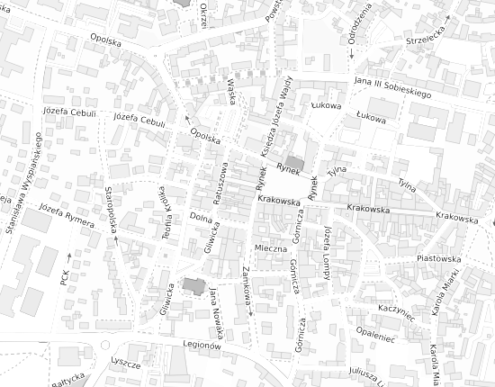 Mapa z adresem organizacji