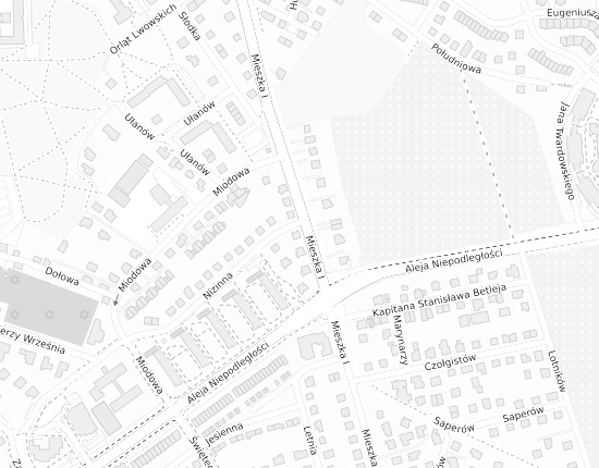 Mapa z adresem organizacji