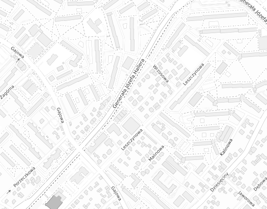 Mapa z adresem organizacji