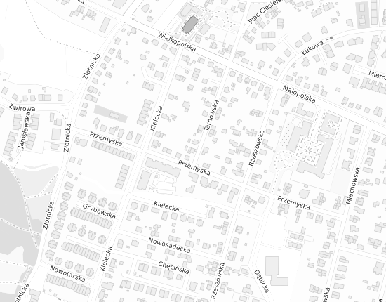 Mapa z adresem organizacji