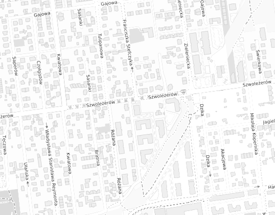 Mapa z adresem organizacji