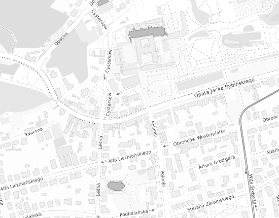 Mapa z adresem organizacji