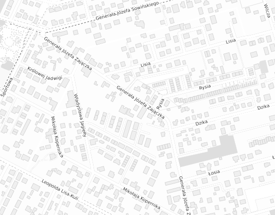 Mapa z adresem organizacji