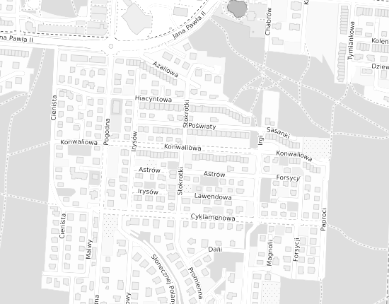Mapa z adresem organizacji