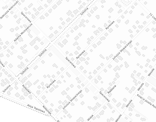 Mapa z adresem organizacji