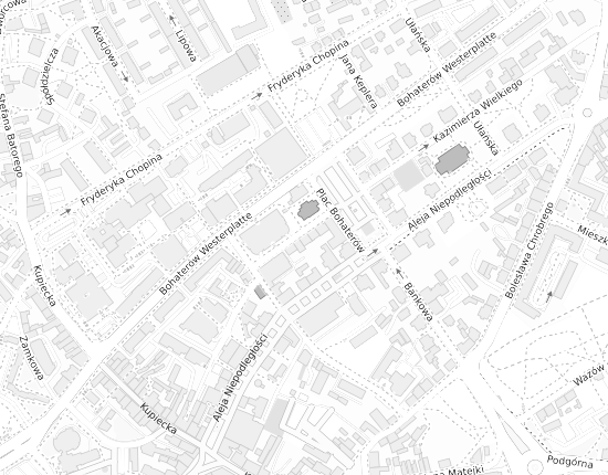 Mapa z adresem organizacji