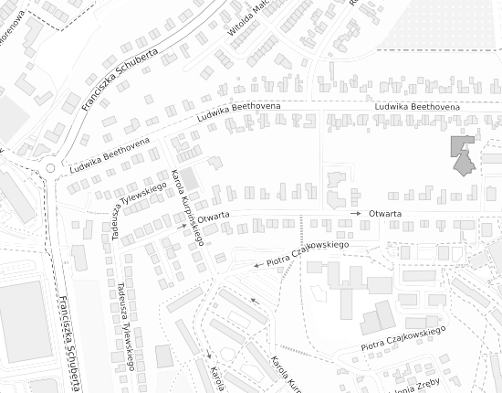 Mapa z adresem organizacji