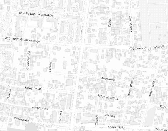 Mapa z adresem organizacji