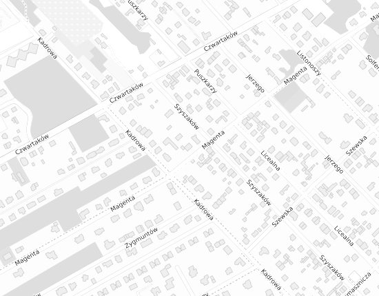 Mapa z adresem organizacji