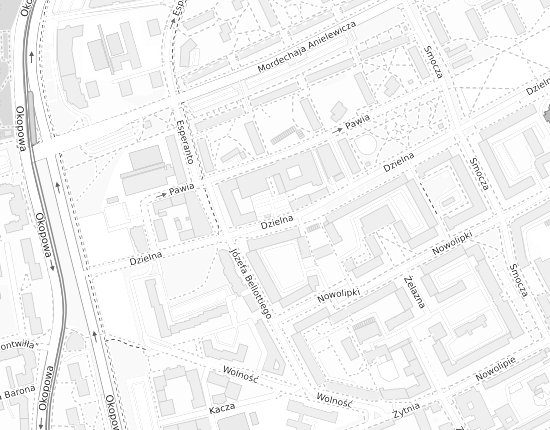 Mapa z adresem organizacji